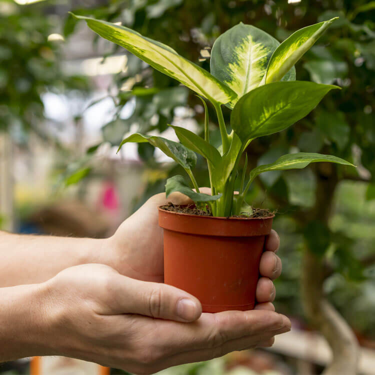 About Saini landscaping steel works Sydney