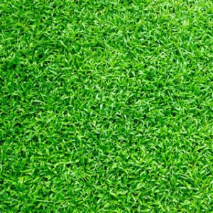 Best turf installer contractor Sydney, NSW