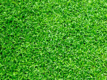 Best turf installer contractor Sydney, NSW